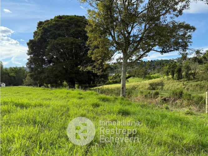 Lote en venta en El Rosario, Manizales, 11500 m² · foto 4 de 9