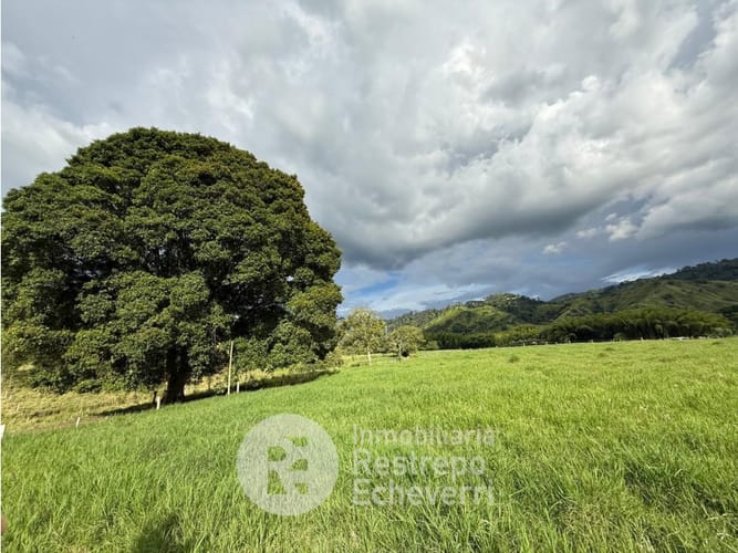 Lote en venta en El Rosario, Manizales, 11500 m² · foto 5 de 9