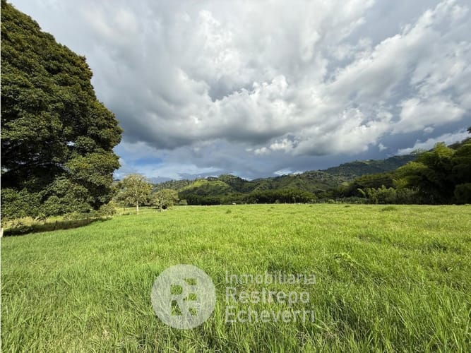 Lote en venta en El Rosario, Manizales, 11500 m² · foto 7 de 9