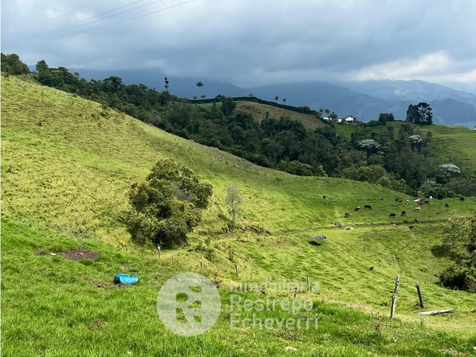 Lote en venta en Alhambra, Manizales · foto 2 de 8