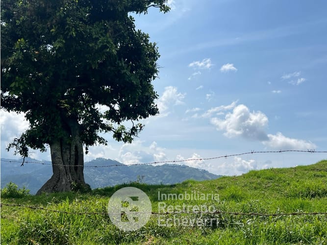 Lote en venta en Alhambra, Manizales · foto 3 de 8