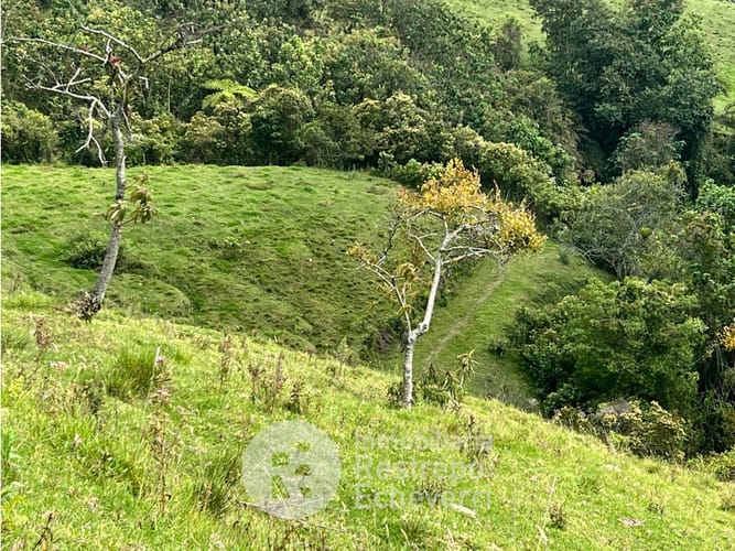 Lote en venta en Alhambra, Manizales · foto 6 de 8