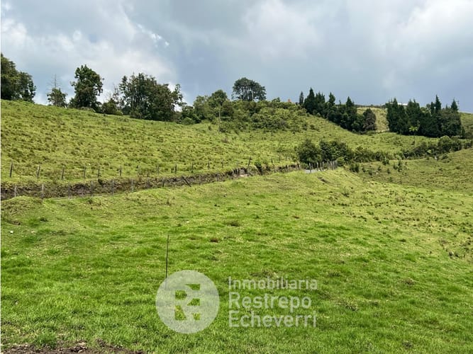 Lote en venta en Alhambra, Manizales · foto 8 de 8