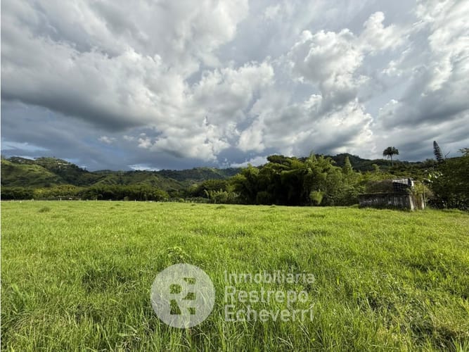 Lote en venta en El Rosario, Manizales, 23000 m² · foto 2 de 10