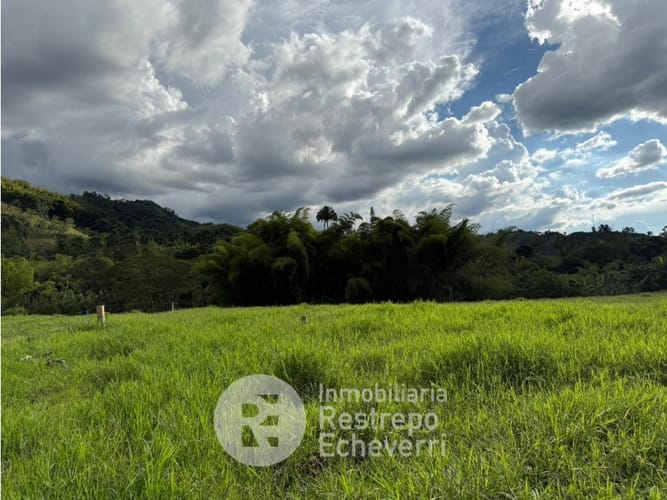 Lote en venta en El Rosario, Manizales, 23000 m² · foto 3 de 10