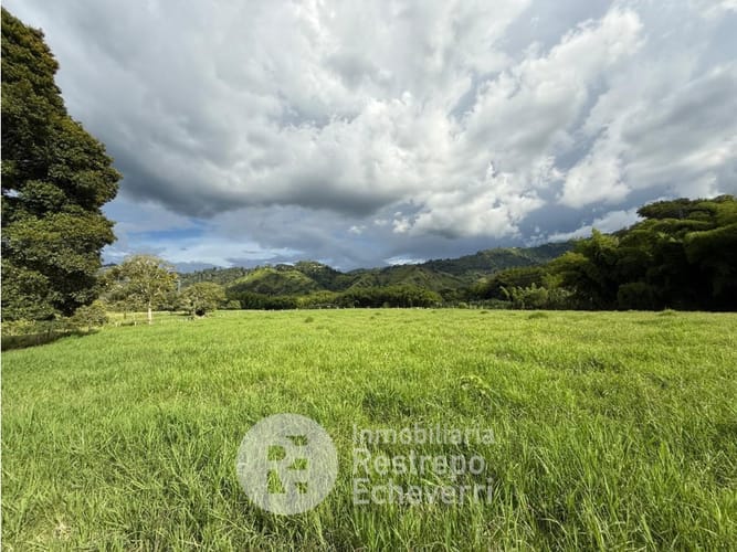 Lote en venta en El Rosario, Manizales, 23000 m² · foto 5 de 10