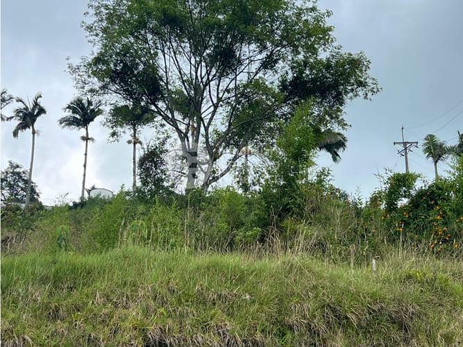 Lote en venta en Alhambra, Manizales, 974 m² · foto 8 de 8