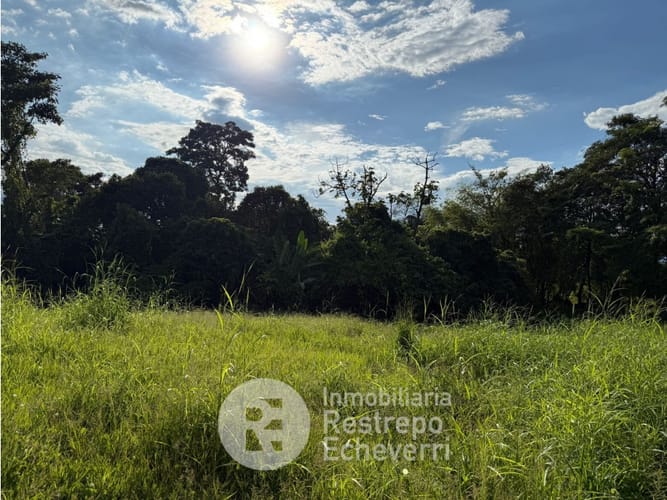 Lote en venta en La Cabaña, Manizales, 7727 m² · foto 2 de 4
