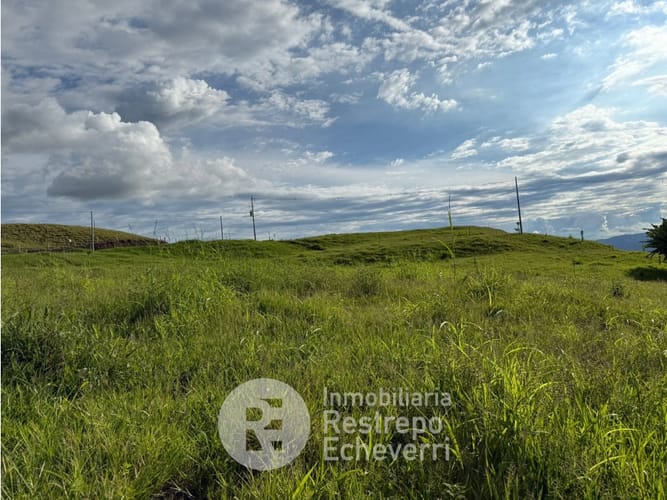 Lote en venta en La Cabaña, Manizales, 7727 m² · foto 3 de 4