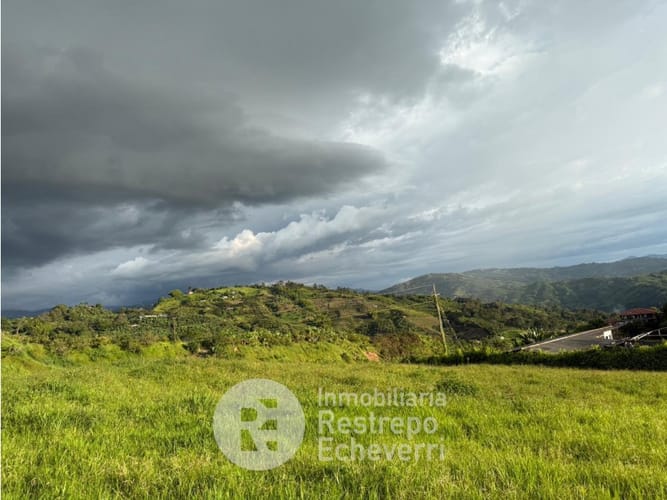 Lote en venta en La Cabaña, Manizales, 8713 m² · foto 2 de 4