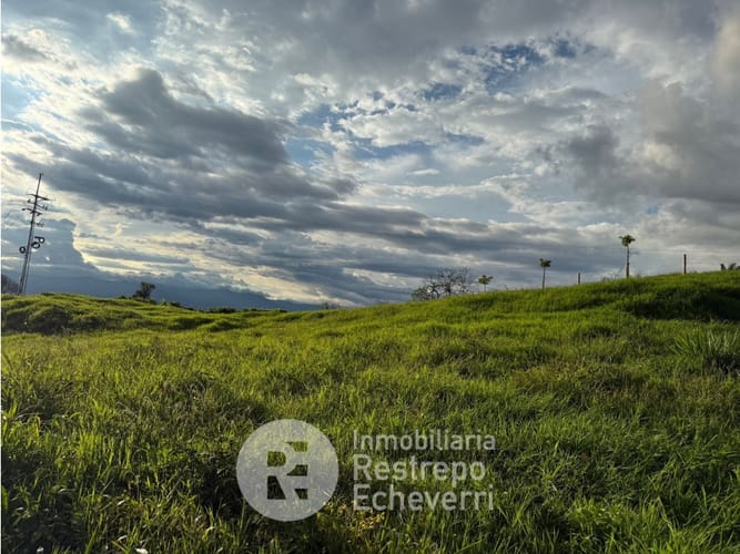Lote en venta en La Cabaña, Manizales, 8713 m² · foto 4 de 4