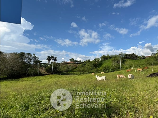 Lote en venta en La Cabaña, Manizales, 6384 m² · foto 3 de 5