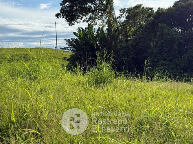 Lote en venta en La Cabaña, Manizales, 6384 m² · foto 4 de 5