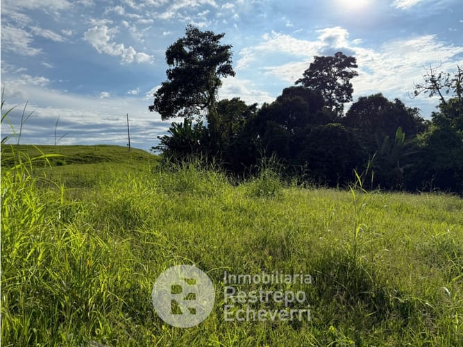 Lote en venta en La Cabaña, Manizales, 6402 m² · foto 4 de 5