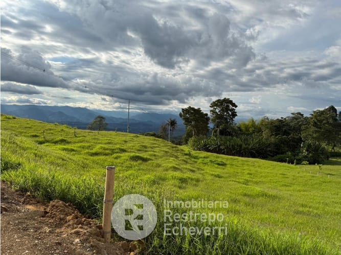 Lote en venta en La Cabaña, Manizales, 6173 m² · foto 3 de 4