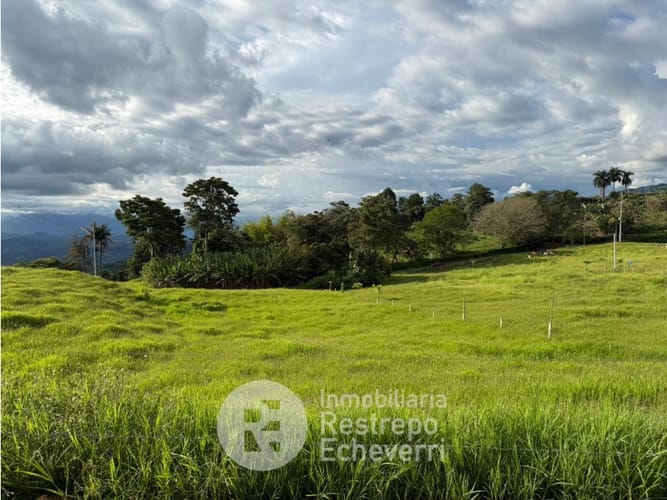 Lote en venta en La Cabaña, Manizales, 6173 m² · foto 4 de 4