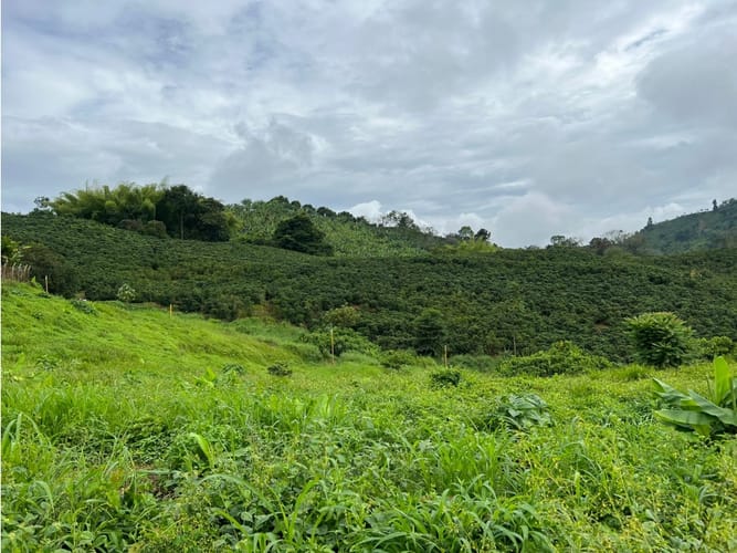 Lote en venta en La Trinidad, Manizales, 1803 m² · foto 2 de 24
