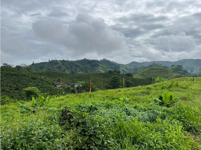 Lote en venta en La Trinidad, Manizales, 1803 m² · foto 3 de 24