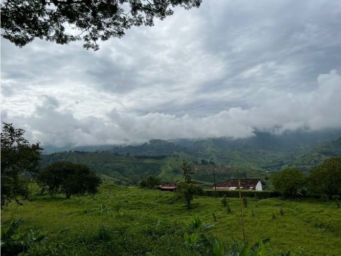 Lote en venta en La Trinidad, Manizales, 1803 m² · foto 4 de 24