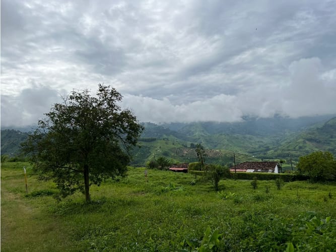 Lote en venta en La Trinidad, Manizales, 1803 m² · foto 5 de 24