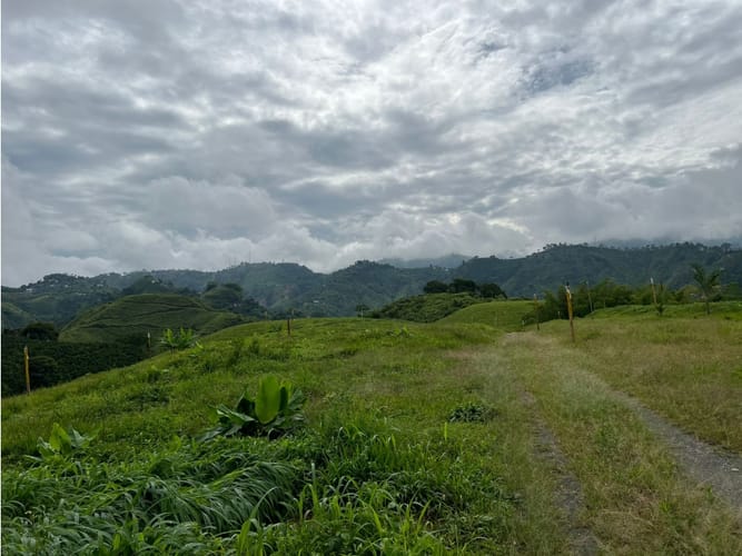 Lote en venta en La Trinidad, Manizales, 1803 m² · foto 6 de 24