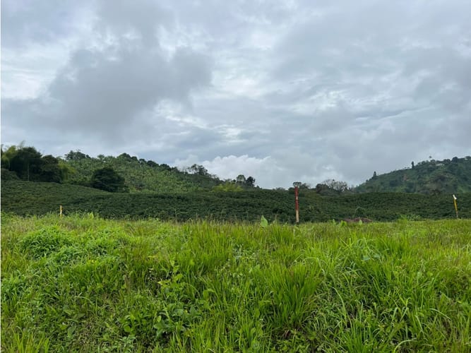 Lote en venta en La Trinidad, Manizales, 1803 m² · foto 8 de 24