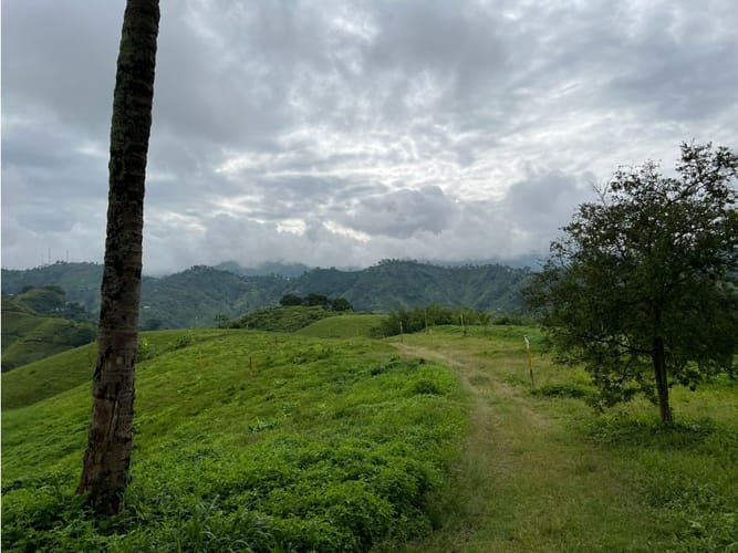 Lote en venta en La Trinidad, Manizales, 1803 m² · foto 10 de 24