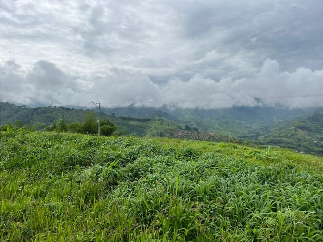 Lote en venta en La Trinidad, Manizales, 1803 m² · foto 11 de 24