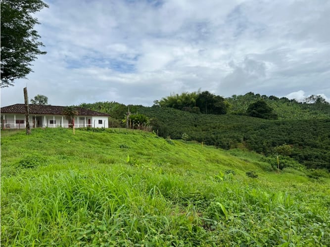 Lote en venta en La Trinidad, Manizales, 1803 m² · foto 12 de 24