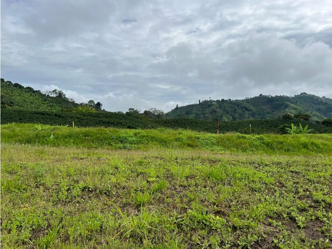 Lote en venta en La Trinidad, Manizales, 1803 m² · foto 13 de 24