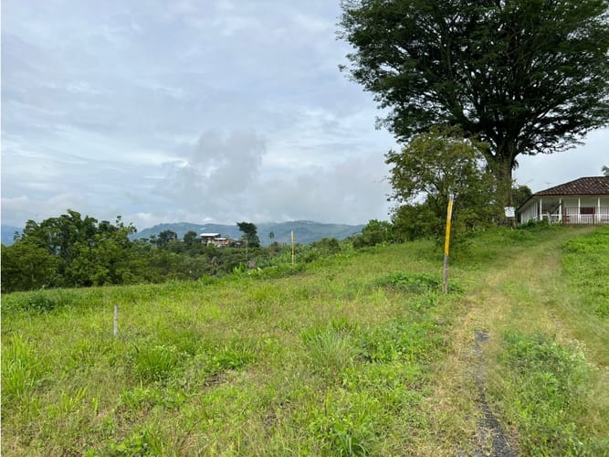 Lote en venta en La Trinidad, Manizales, 1803 m² · foto 14 de 24