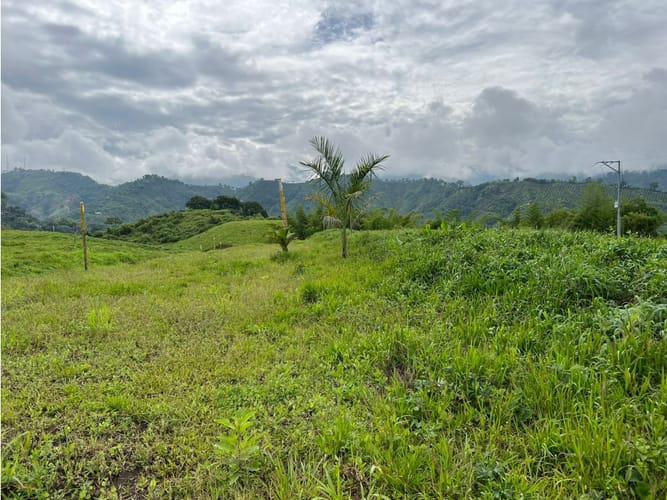 Lote en venta en La Trinidad, Manizales, 1803 m² · foto 15 de 24