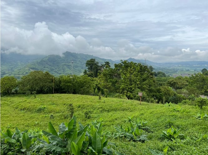 Lote en venta en La Trinidad, Manizales, 1803 m² · foto 16 de 24