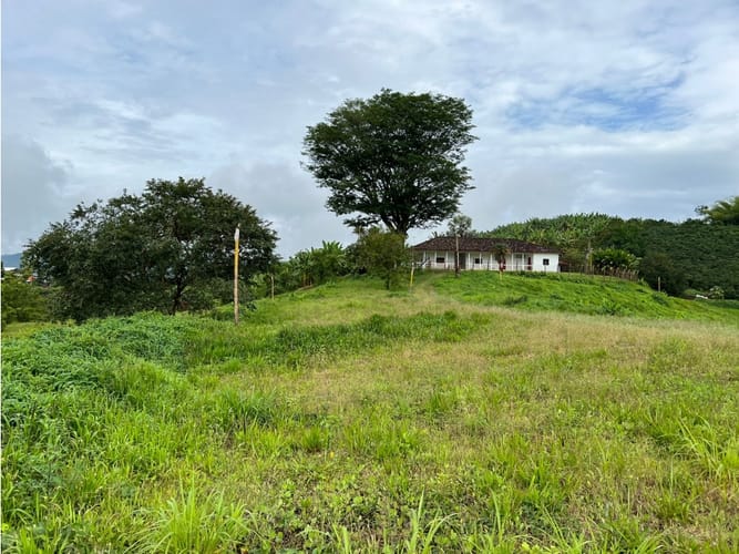 Lote en venta en La Trinidad, Manizales, 1803 m² · foto 17 de 24