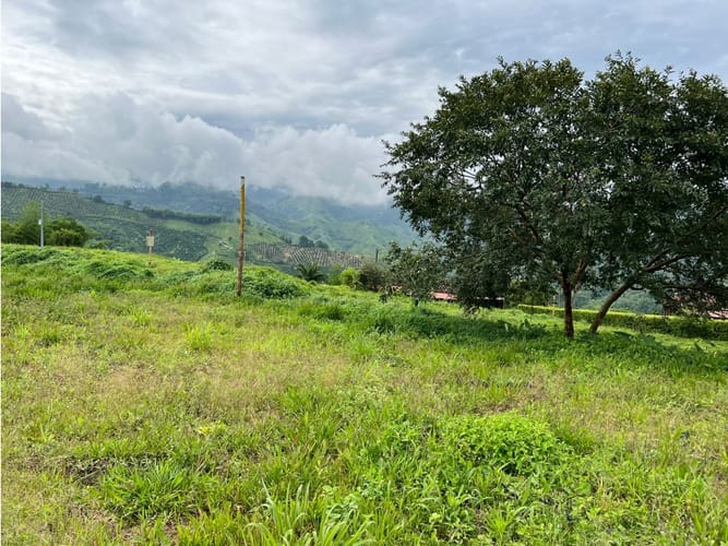 Lote en venta en La Trinidad, Manizales, 1803 m² · foto 18 de 24