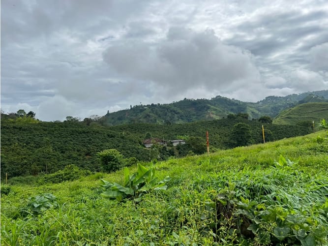 Lote en venta en La Trinidad, Manizales, 1803 m² · foto 19 de 24