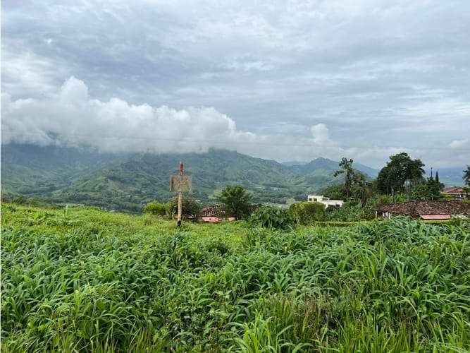 Lote en venta en La Trinidad, Manizales, 1803 m² · foto 20 de 24