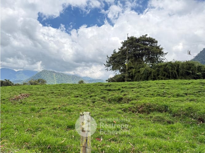 Lote en venta en Vereda Gallinazo, Manizales, 3400 m² · foto 2 de 13