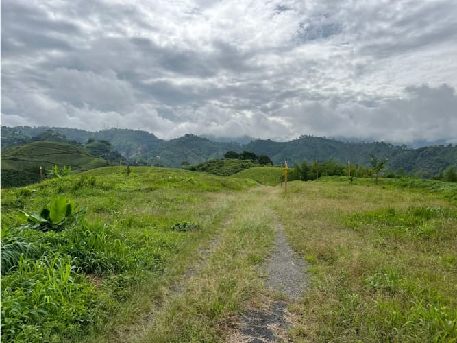 Lote en venta en La Trinidad, Manizales, 1803 m² · foto 21 de 24