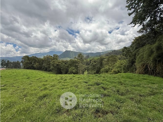 Lote en venta en Vereda Gallinazo, Manizales, 3400 m² · foto 3 de 13