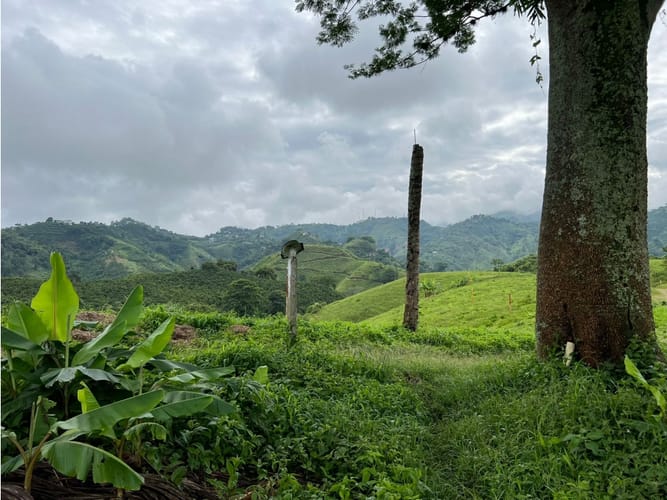 Lote en venta en La Trinidad, Manizales, 1803 m² · foto 22 de 24