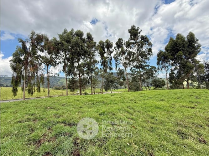 Lote en venta en Vereda Gallinazo, Manizales, 3400 m² · foto 4 de 13