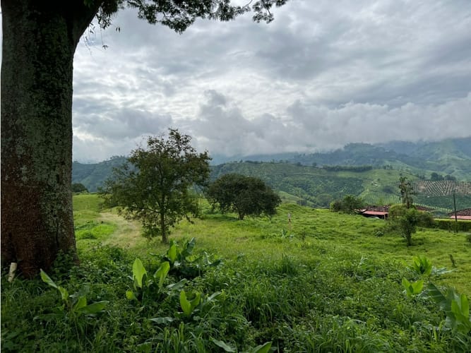 Lote en venta en La Trinidad, Manizales, 1803 m² · foto 23 de 24