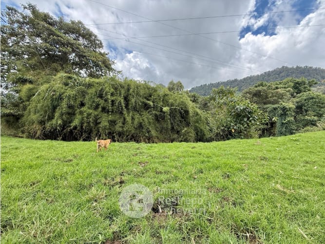 Lote en venta en Vereda Gallinazo, Manizales, 3400 m² · foto 6 de 13
