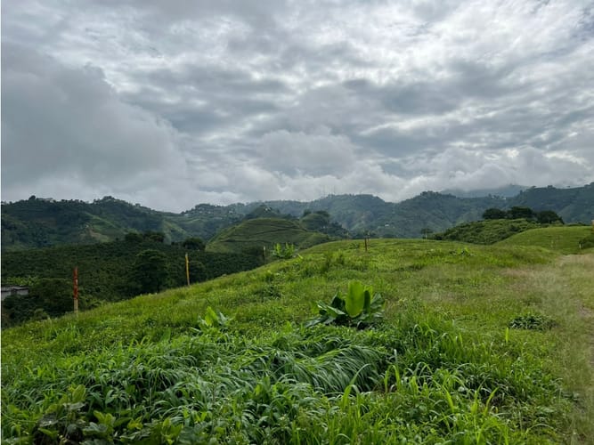 Lote en venta en La Trinidad, Manizales, 1803 m² · foto 24 de 24