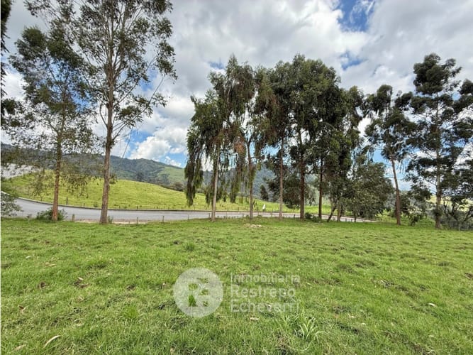 Lote en venta en Vereda Gallinazo, Manizales, 3400 m² · foto 7 de 13
