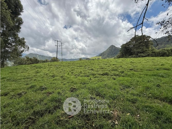 Lote en venta en Vereda Gallinazo, Manizales, 3400 m² · foto 8 de 13