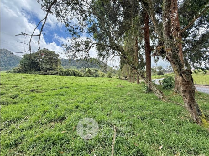 Lote en venta en Vereda Gallinazo, Manizales, 3400 m² · foto 9 de 13