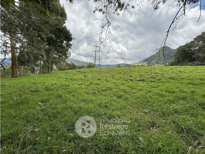 Lote en venta en Vereda Gallinazo, Manizales, 3400 m² · foto 11 de 13