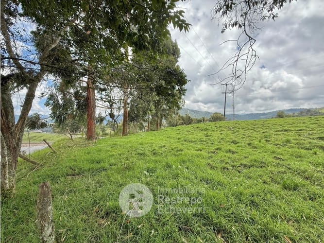 Lote en venta en Vereda Gallinazo, Manizales, 3400 m² · foto 12 de 13